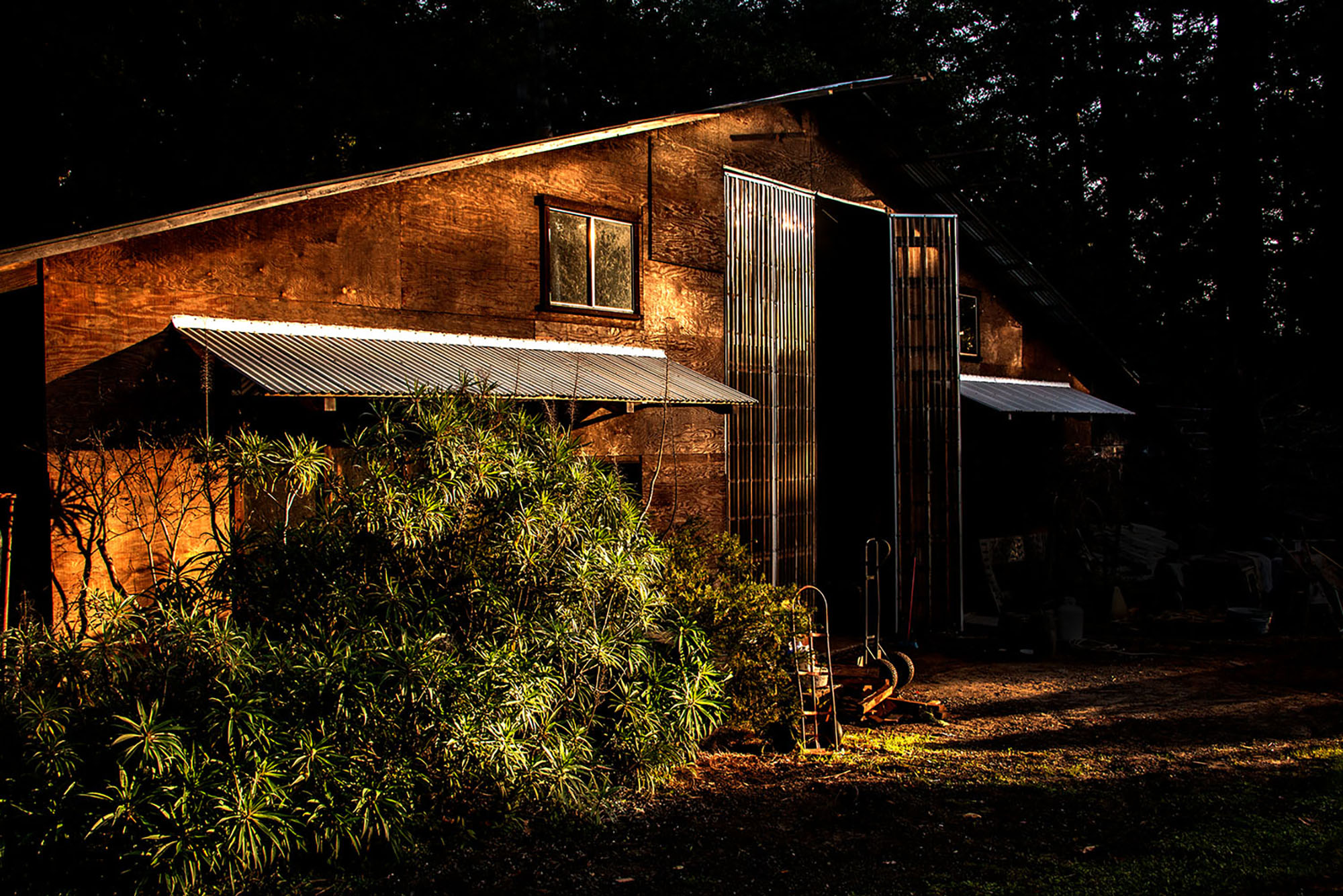 ©Bruce Johnson, Sculptor